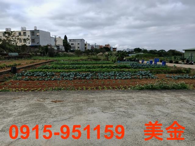 中壢農地-0