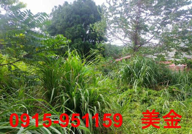 桃園平鎮工業地-0