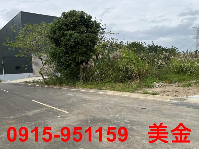 大溪工業地-1